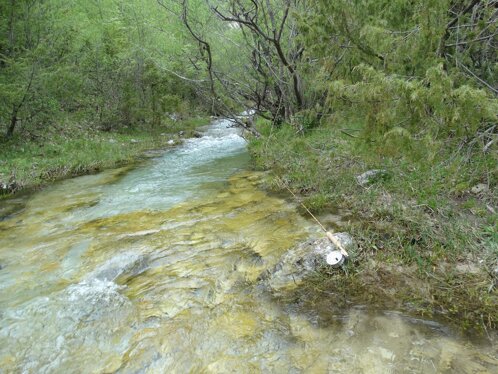 567832a2-2226-43dd-8a1c-35c82cf8a6ba 567832a2-2226-43dd-8a1c-35c82cf8a6ba