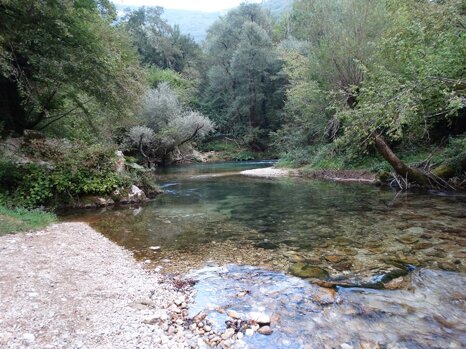 14316768_672345116275718_8699237190945146767_n 14316768_672345116275718_8699237190945146767_n