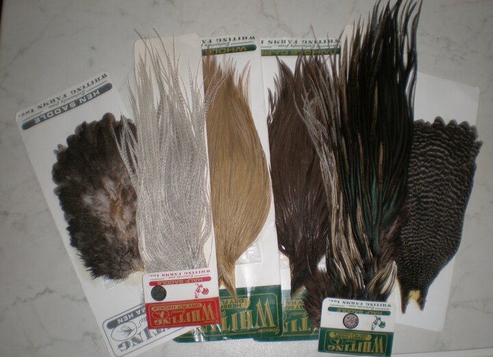 colli_di_gallo_gallina_spalle