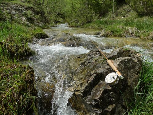 eb06209f-e227-4df1-806a-477dc4266226 eb06209f-e227-4df1-806a-477dc4266226