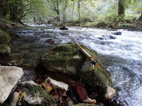 14440652_681278112049085_3828657148716755522_n 14440652_681278112049085_3828657148716755522_n