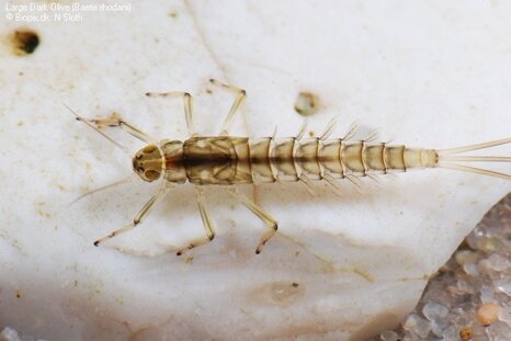 cfdea76b-e3bc-4f61-8198-b785b9749c8f cfdea76b-e3bc-4f61-8198-b785b9749c8f