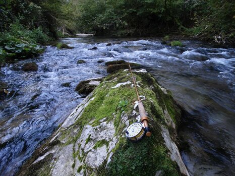 14485061_681278725382357_7527749063489598623_n 14485061_681278725382357_7527749063489598623_n