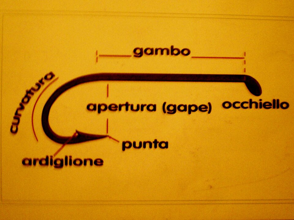 ec270082-7219-4fcc-b7cc-54fba73df172