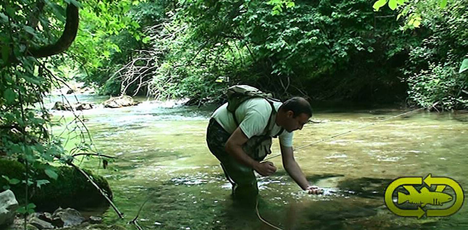 98b0bd22-bb71-4cee-9cb1-e9edd8ac2f23