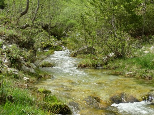 fdfa80ca-a0cb-4209-940d-a6ad9ba48eb0 fdfa80ca-a0cb-4209-940d-a6ad9ba48eb0