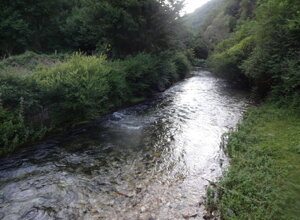 dsc04943.jpeg dsc04943.jpeg