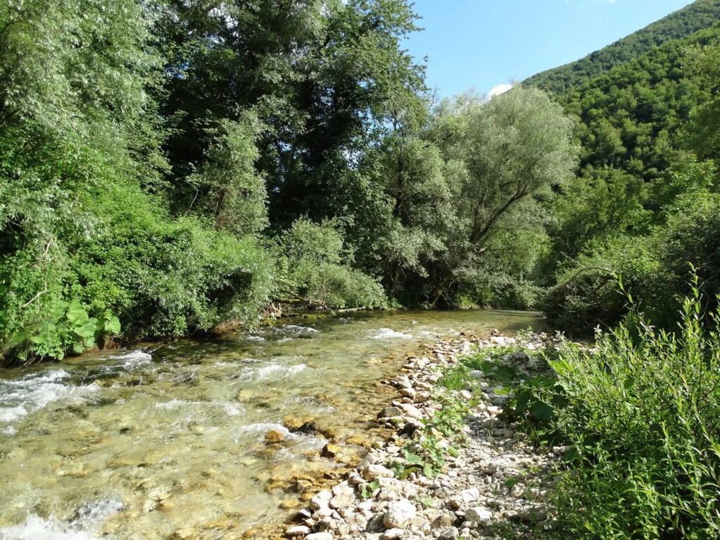 whatsapp image 2026-02-15 at 18.04.28.jpeg