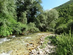 whatsapp image 2026-02-15 at 18.04.28.jpeg