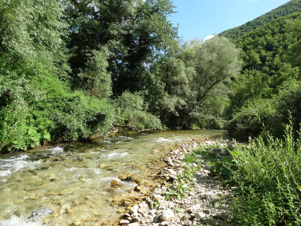 whatsapp image 2026-02-15 at 18.04.28.jpeg