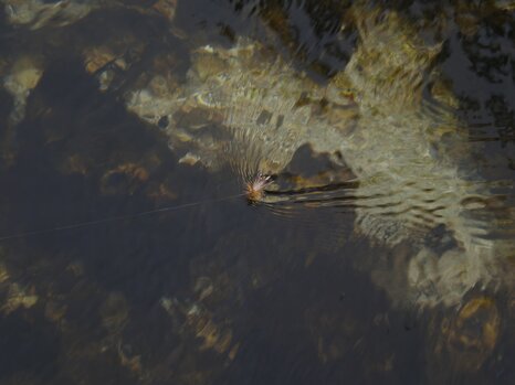 dragaggio_mosca4 dragaggio_mosca4