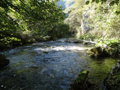 14484615_681276355382594_3419757436439313657_n 14484615_681276355382594_3419757436439313657_n