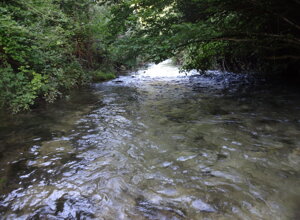 dsc04929.jpeg dsc04929.jpeg