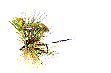 pescare-immagine-animata-0081