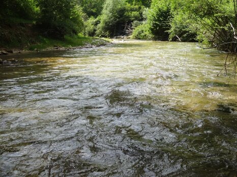 14344796_674240459419517_7297367240972586572_n 14344796_674240459419517_7297367240972586572_n