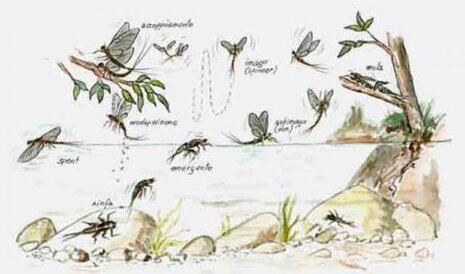 d871ab4b83535432491b03b79145c9bf d871ab4b83535432491b03b79145c9bf