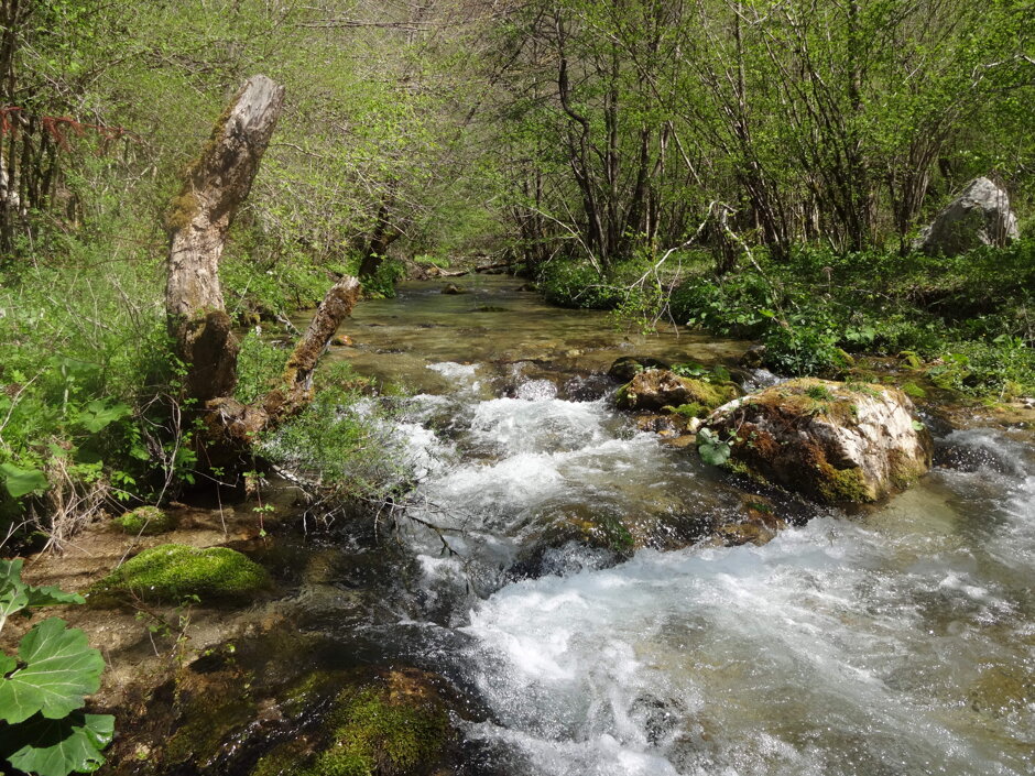 2cce459a-ccb1-492f-bf36-c89554bfc7ab 2cce459a-ccb1-492f-bf36-c89554bfc7ab