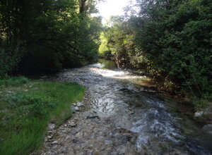 dsc04926.jpeg dsc04926.jpeg