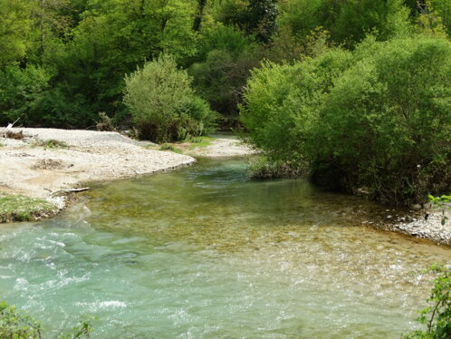 4a9530f0-3ef2-41d2-badf-ddac1ab0e44a 4a9530f0-3ef2-41d2-badf-ddac1ab0e44a