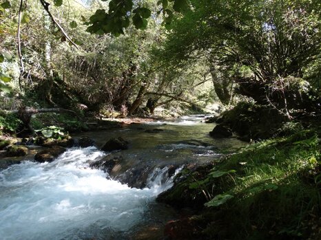 14479585_681276702049226_8971430725642312059_n 14479585_681276702049226_8971430725642312059_n