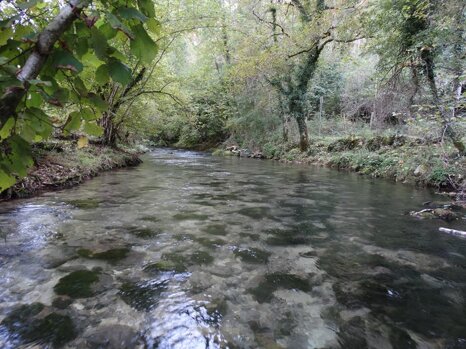 14463081_681278358715727_1703245166700665931_n 14463081_681278358715727_1703245166700665931_n