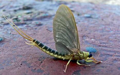 5580cb02-aea2-4436-a4a4-364443c5c901 5580cb02-aea2-4436-a4a4-364443c5c901