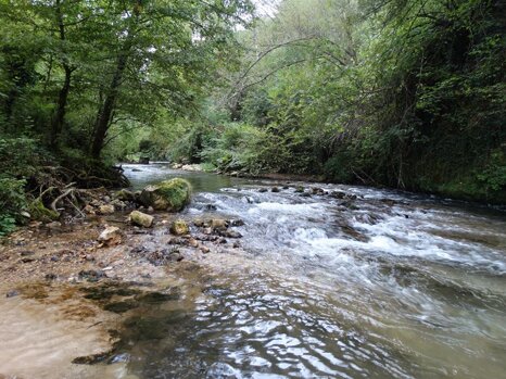 14291828_672343349609228_1531701623590226469_n 14291828_672343349609228_1531701623590226469_n