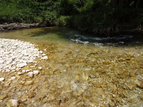 14344939_674240292752867_986504340440633836_n 14344939_674240292752867_986504340440633836_n