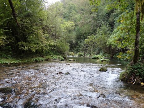 14264946_672339376276292_1206297662387679816_n 14264946_672339376276292_1206297662387679816_n