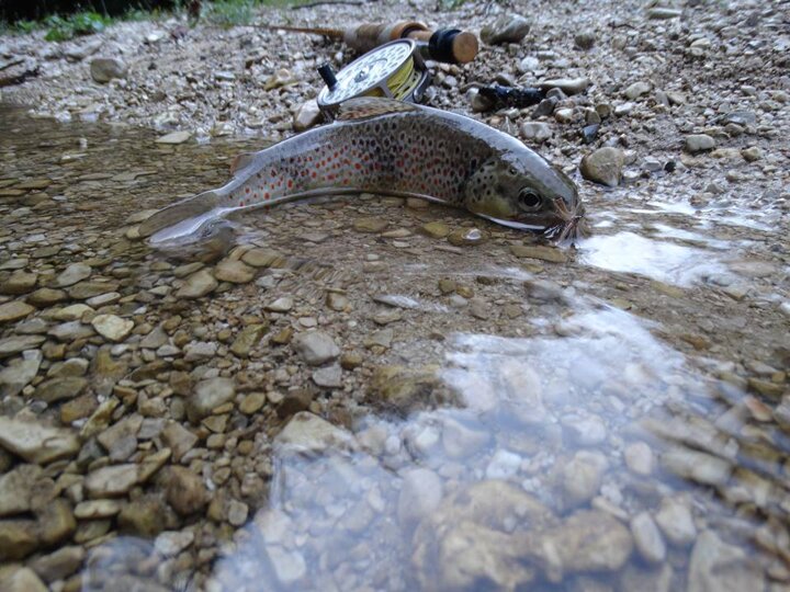 14516436_681279498715613_3744008061072107857_n