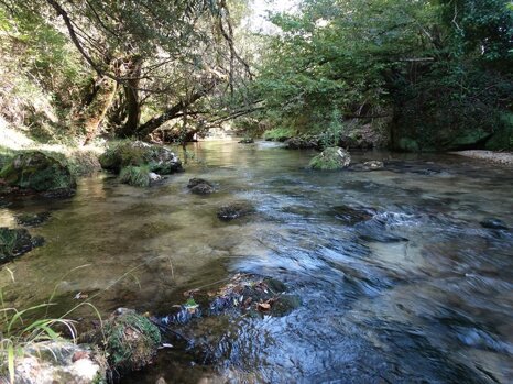 14445974_681275085382721_6494638704310843606_n 14445974_681275085382721_6494638704310843606_n