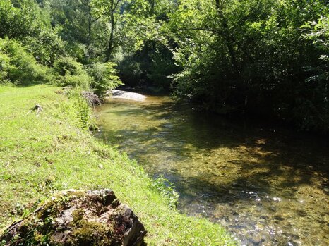 14317625_674239502752946_8438363638578267825_n 14317625_674239502752946_8438363638578267825_n