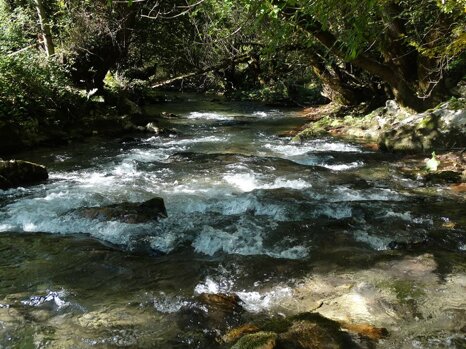 14449729_681277265382503_3557507993157071307_n 14449729_681277265382503_3557507993157071307_n