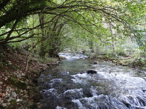 14479739_681277918715771_3394903523924876850_n 14479739_681277918715771_3394903523924876850_n