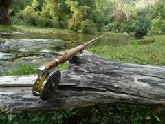 whatsapp image 2026-02-15 at 18.04.28 (4).jpeg