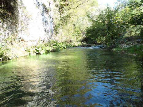 14470420_681276042049292_7301380698281862959_n 14470420_681276042049292_7301380698281862959_n