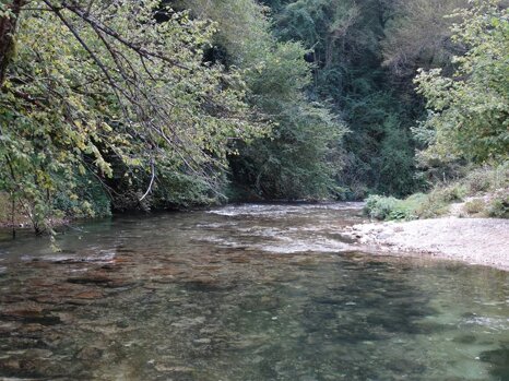 14316936_672345459609017_8424796576893300491_n 14316936_672345459609017_8424796576893300491_n