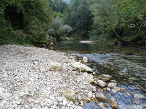 14316916_672345086275721_5252591512246085116_n 14316916_672345086275721_5252591512246085116_n