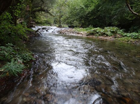 14237517_672338932943003_6940483356185325986_n 14237517_672338932943003_6940483356185325986_n