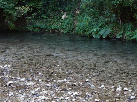 14445938_681274535382776_1176586766487159342_n 14445938_681274535382776_1176586766487159342_n