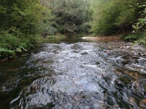 14224958_672339892942907_4370825191266005293_n 14224958_672339892942907_4370825191266005293_n