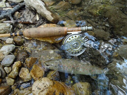 7c6da6cc-7fcf-4d04-85db-8fdd8aa1b0a4 7c6da6cc-7fcf-4d04-85db-8fdd8aa1b0a4