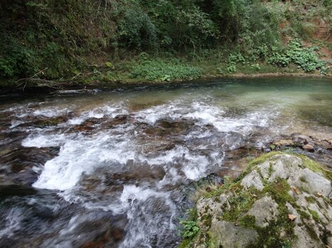 14330014_672344369609126_4088084491247765348_n 14330014_672344369609126_4088084491247765348_n