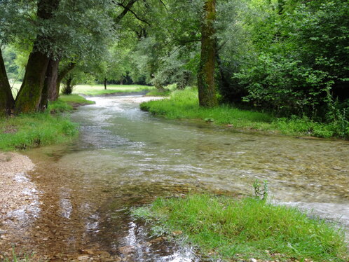 cc4fa43d-3a62-4d2f-8d8e-d705e4762968 cc4fa43d-3a62-4d2f-8d8e-d705e4762968