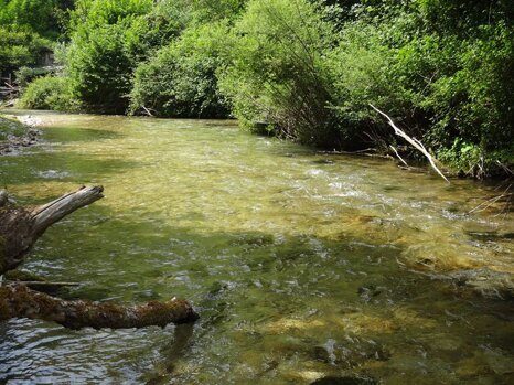 14355696_674240446086185_2894018808944743641_n_1 14355696_674240446086185_2894018808944743641_n_1