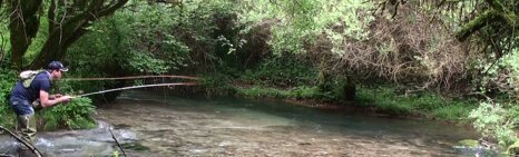 danilo_lancio danilo_lancio