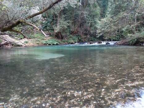 14316759_672345716275658_3960615648625709606_n 14316759_672345716275658_3960615648625709606_n