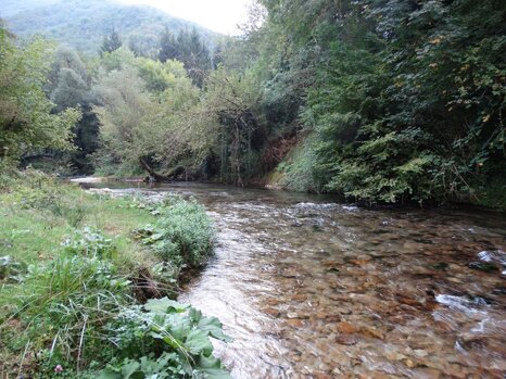 14330160_672344909609072_1163218775784447397_n 14330160_672344909609072_1163218775784447397_n