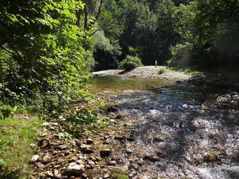 14317450_674239972752899_1552392557416886792_n 14317450_674239972752899_1552392557416886792_n