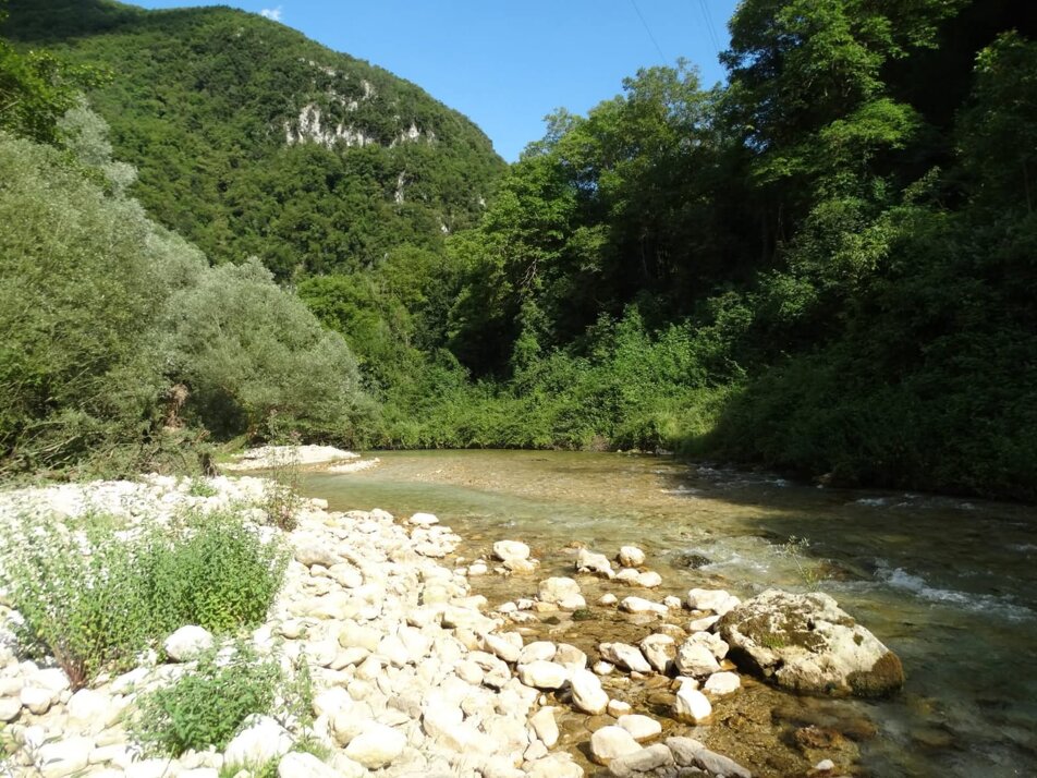 whatsapp image 2026-02-15 at 18.04.28 (1).jpeg